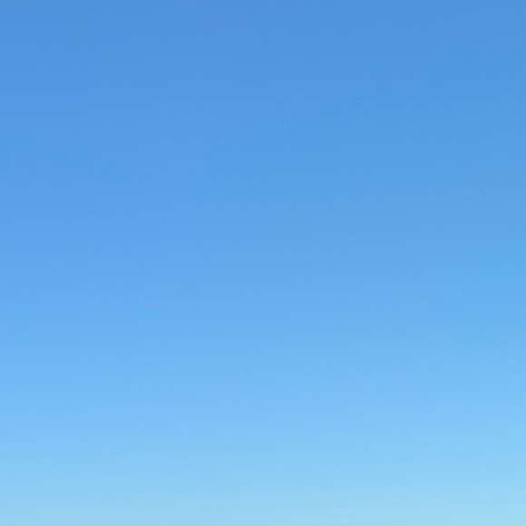 Meet your Posher, Annie - Picture 1 of 1